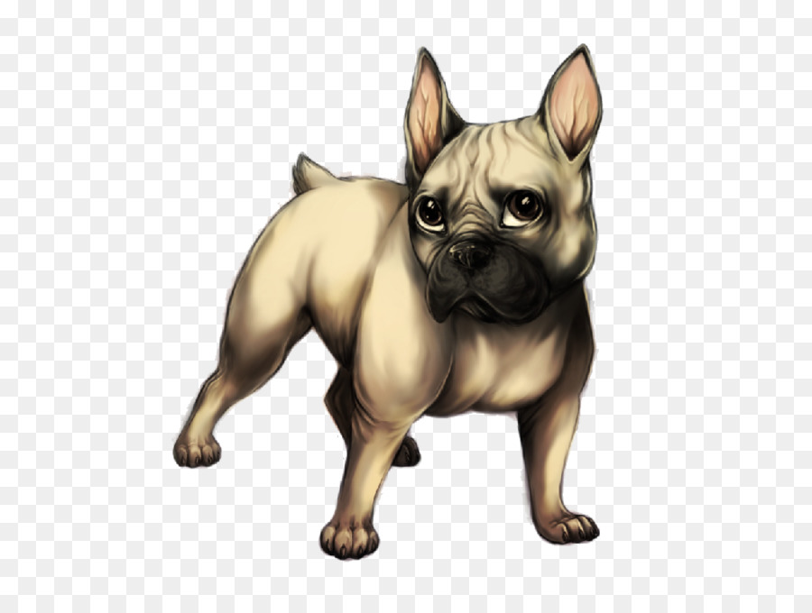 Bulldog，Bulldog Perancis PNG