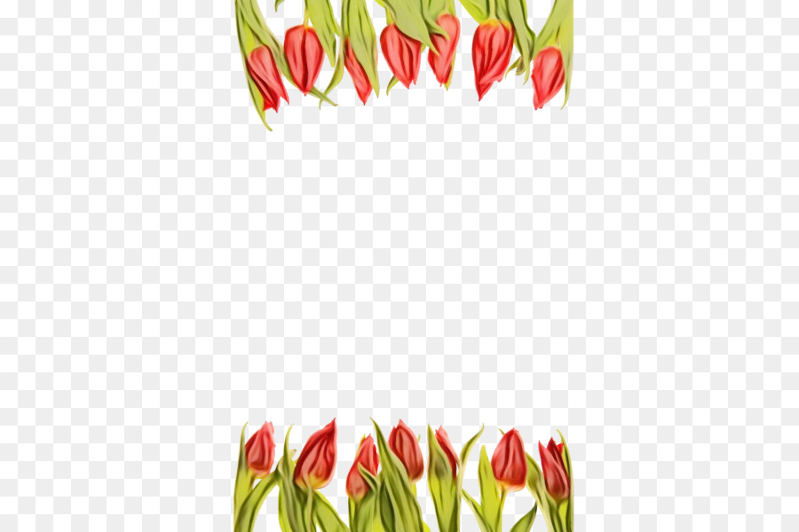 Tulip，Desain Bunga PNG