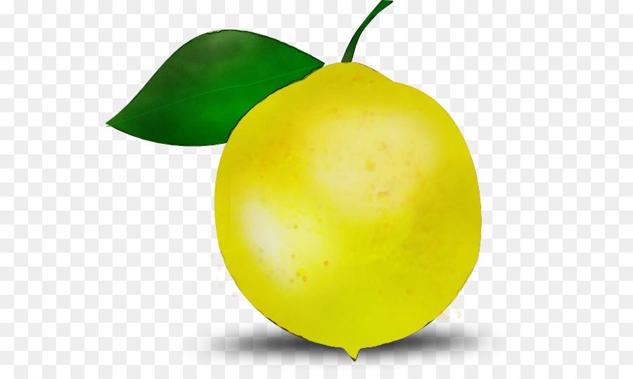 Lemon，Ikon Komputer PNG
