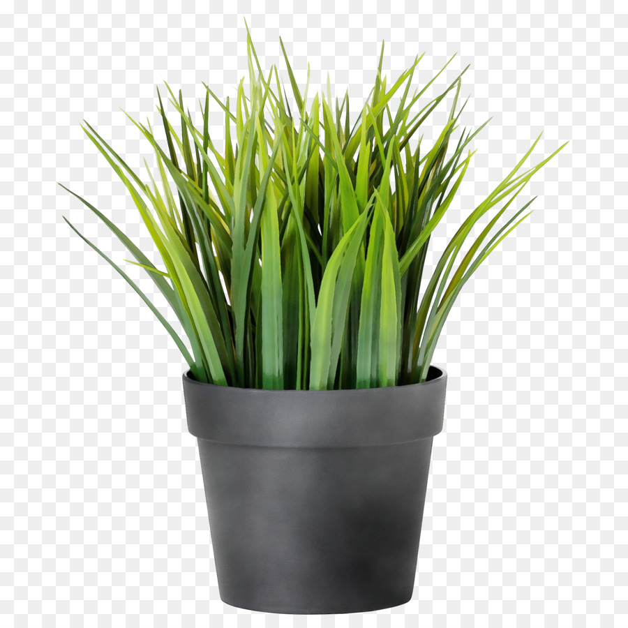  Pot  Bunga  IKEA Pot  gambar png