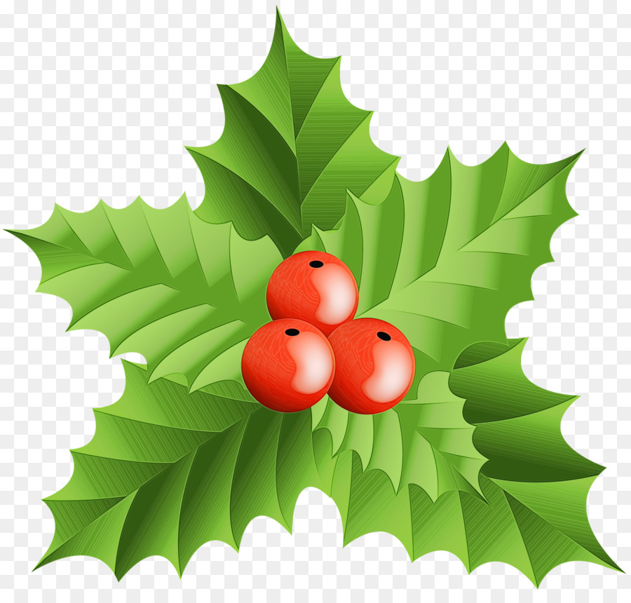 Holly，Daun Daun PNG