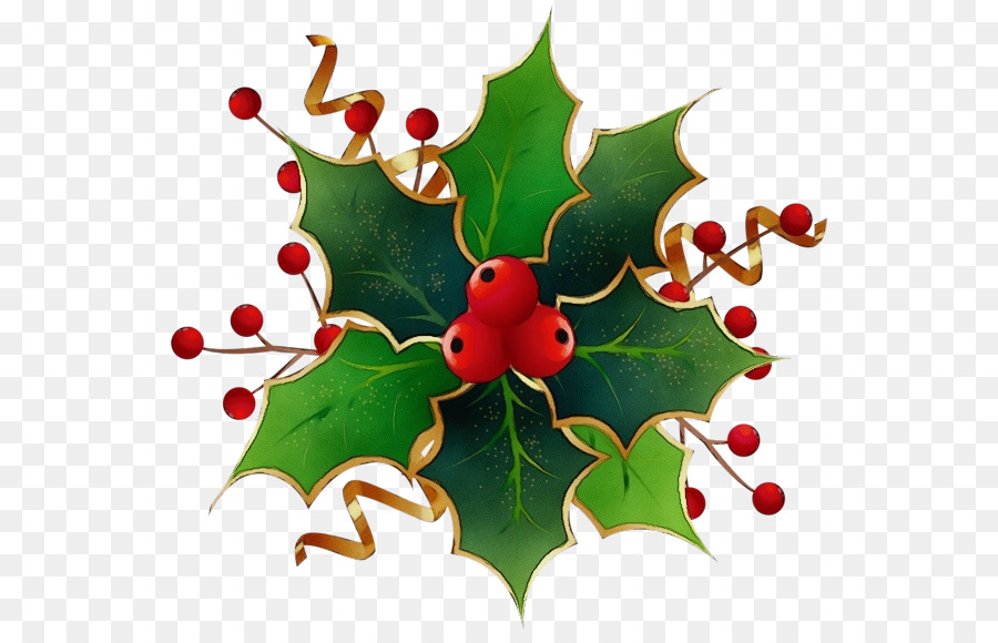 Holly，Daun Daun PNG