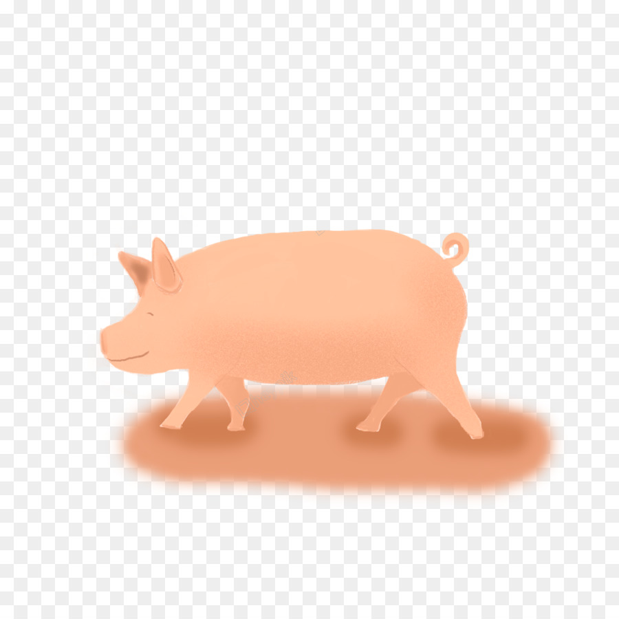 Babi Oranye，Peternakan PNG