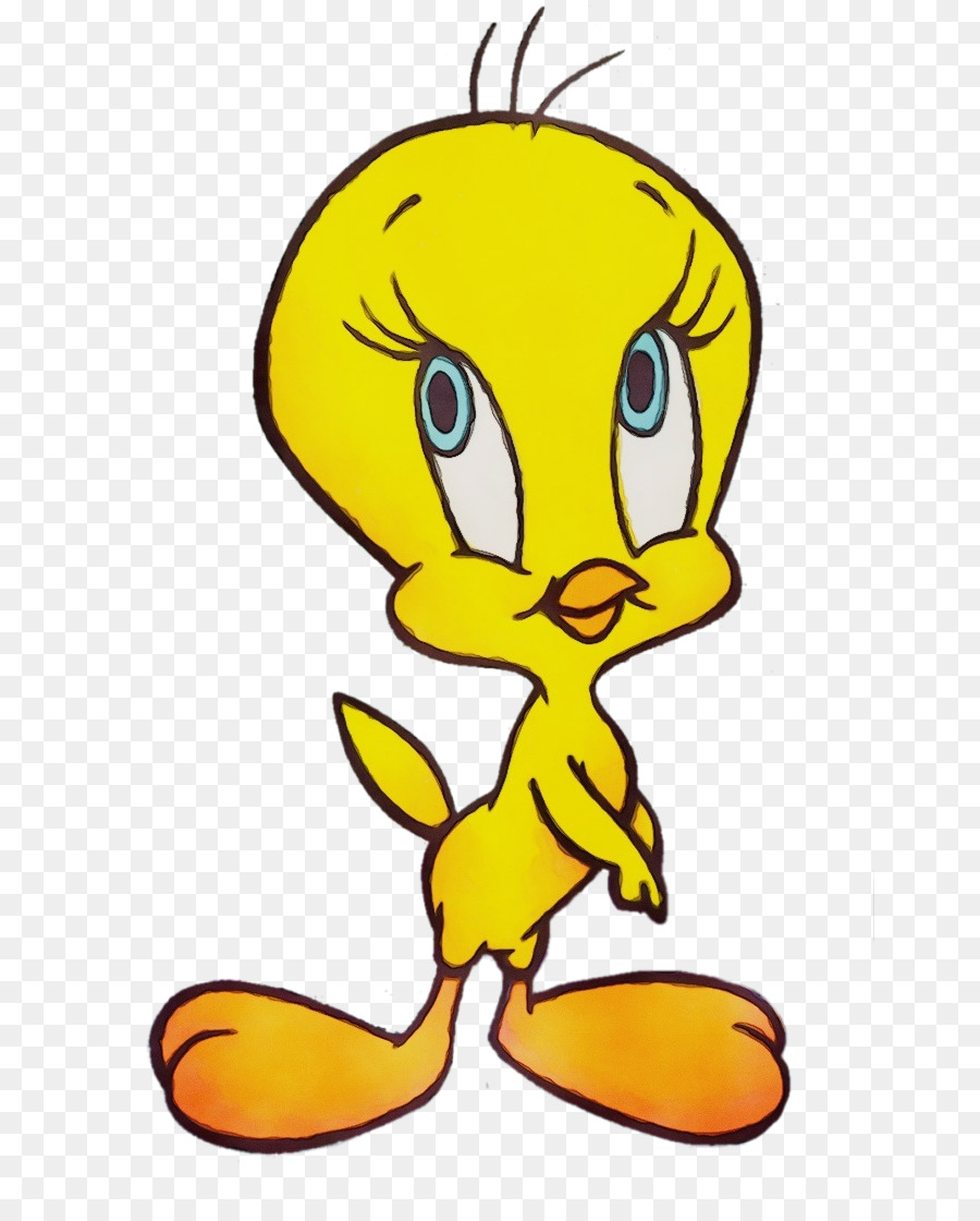 Burung Tweety，Burung PNG