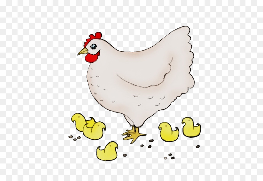 Ayam，Gambar PNG