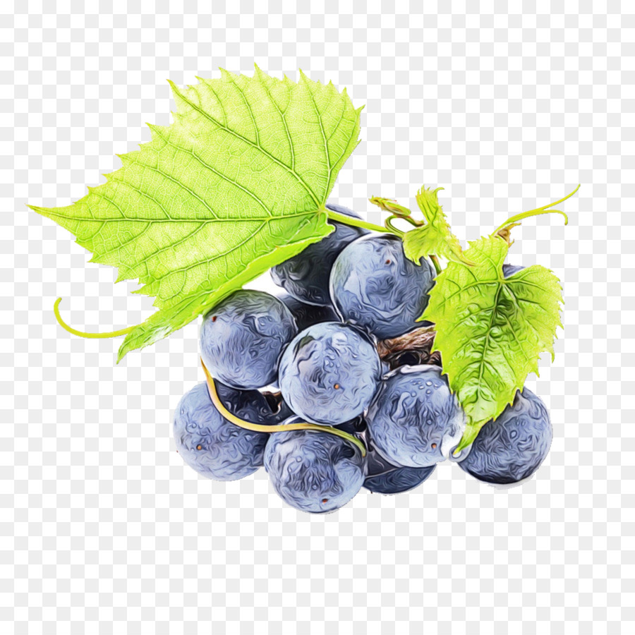 Blueberry，Buah Beri PNG