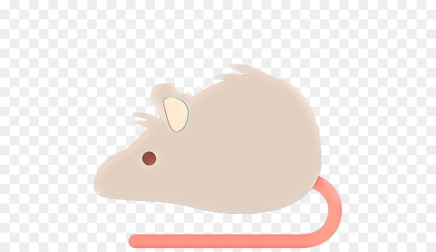 Tikus Abu Abu，Imut Imut PNG