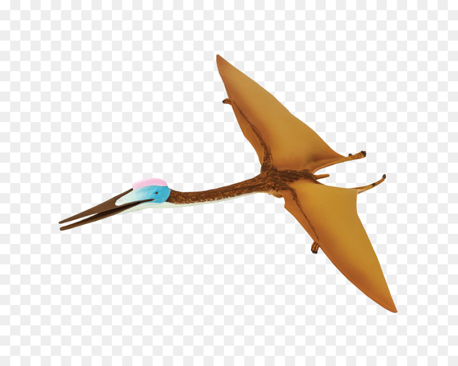 Pterodaktil，Penerbangan PNG