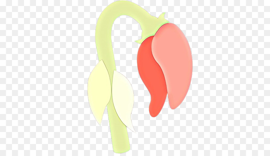 Buah，Meter PNG