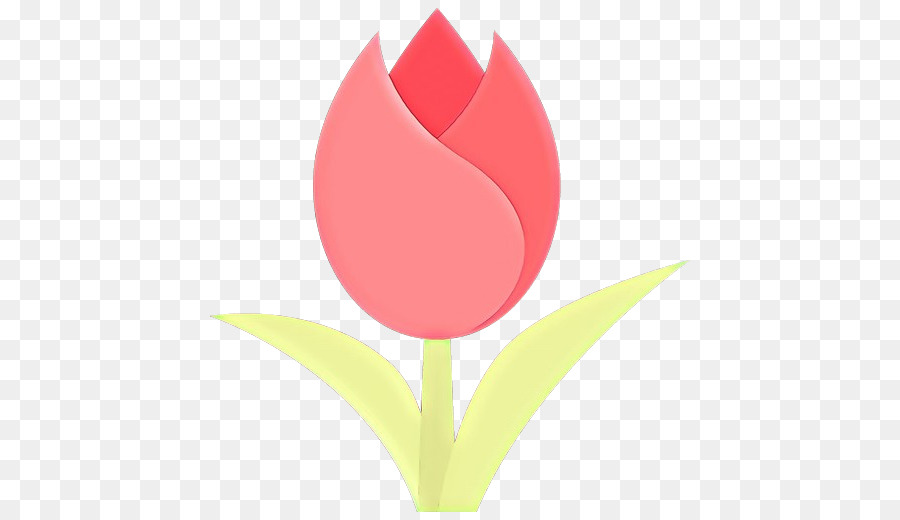 Tulip Merah Muda，Mekar PNG