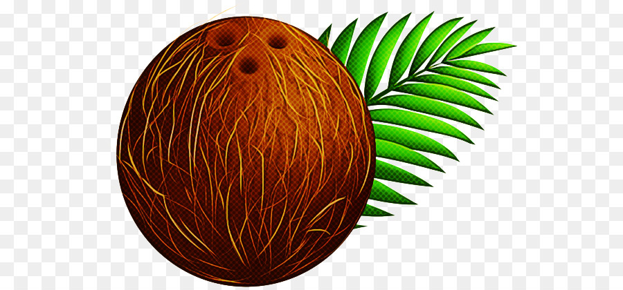 Kelapa，Daun Palem PNG