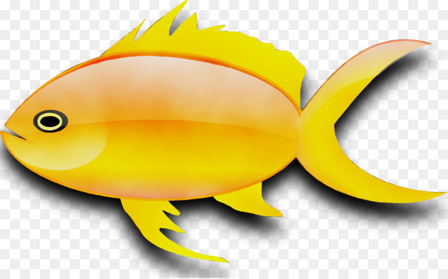 Ikan，Akuatik PNG