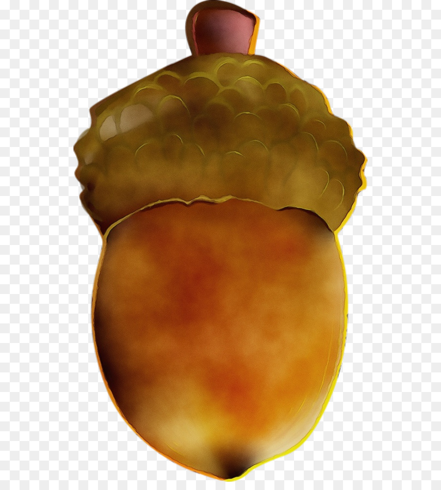 Biji Pohon Ek，Kacang PNG