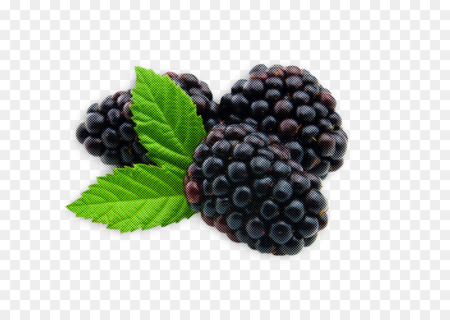 Blackberry，Buah Beri PNG