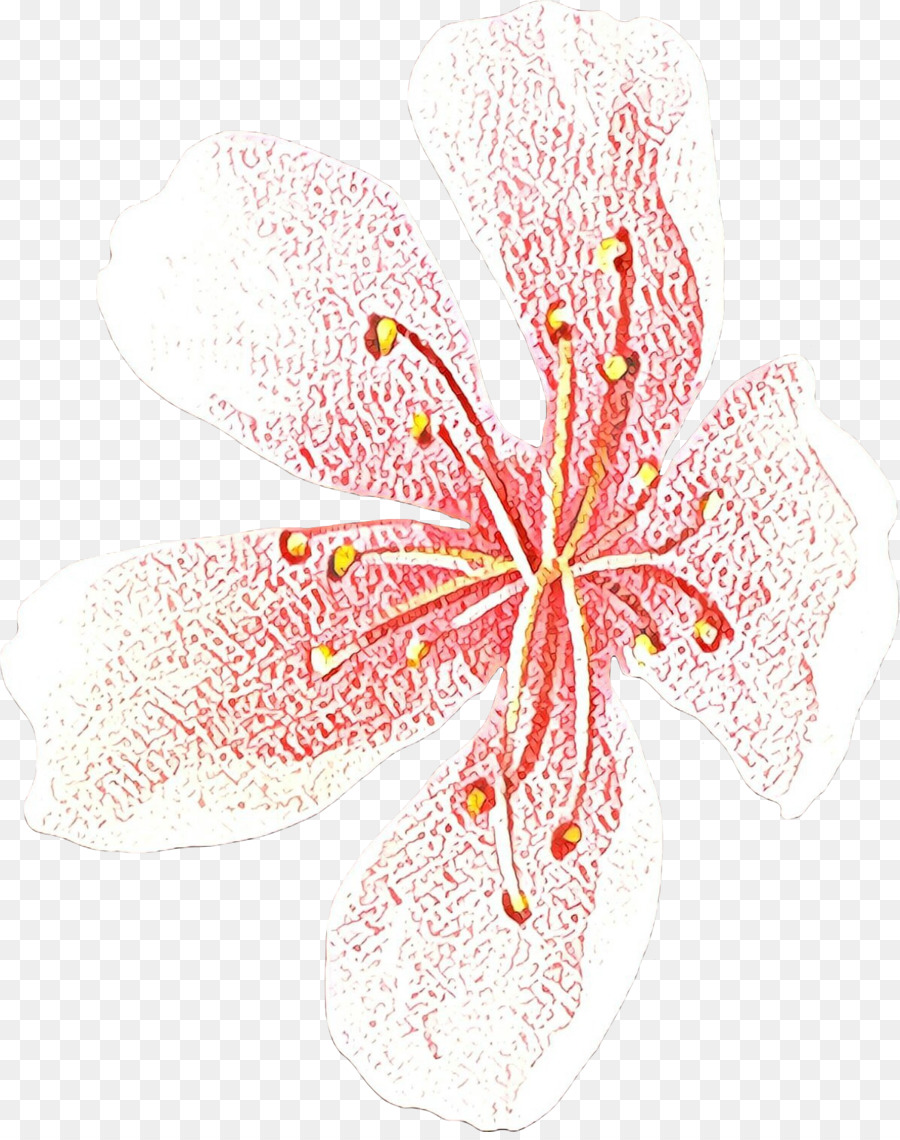 Desain Bunga，Bunga Potong PNG