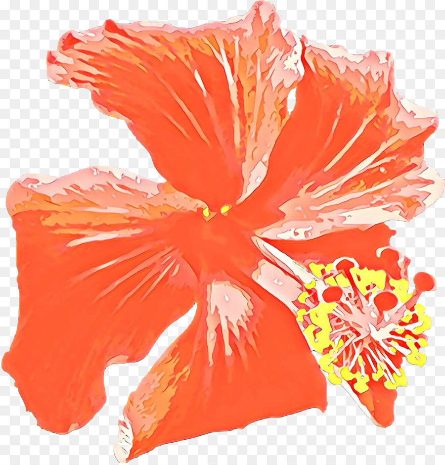 Rosemallows，Bunga Potong PNG