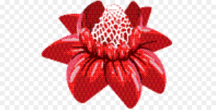 Raspberry Merah，Bunga Potong PNG