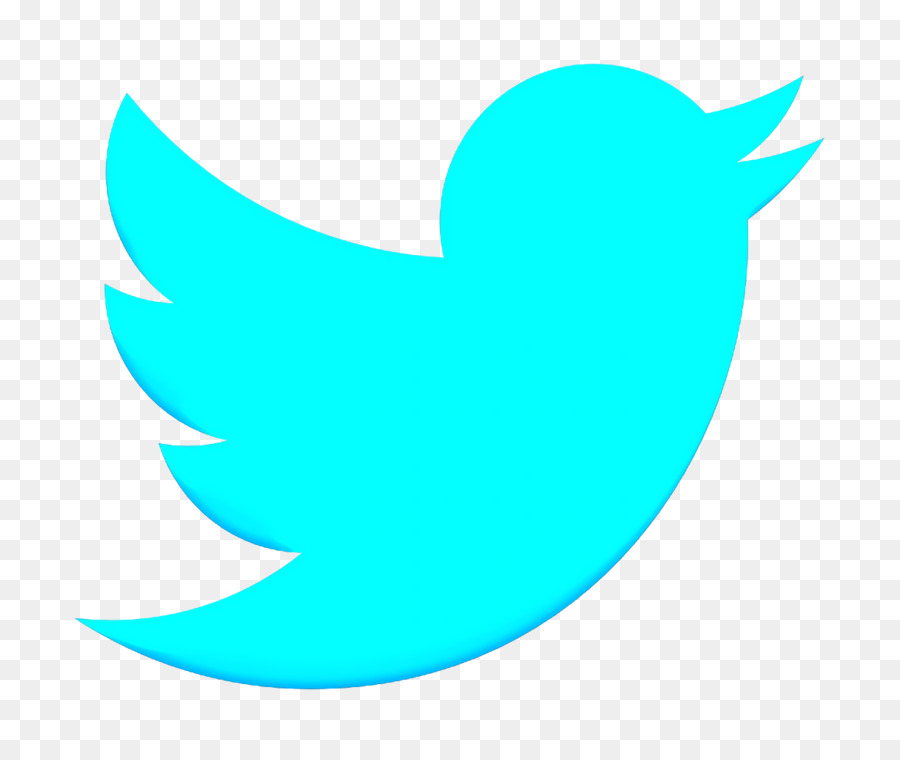 Logo Twitter Biru，Media Sosial PNG