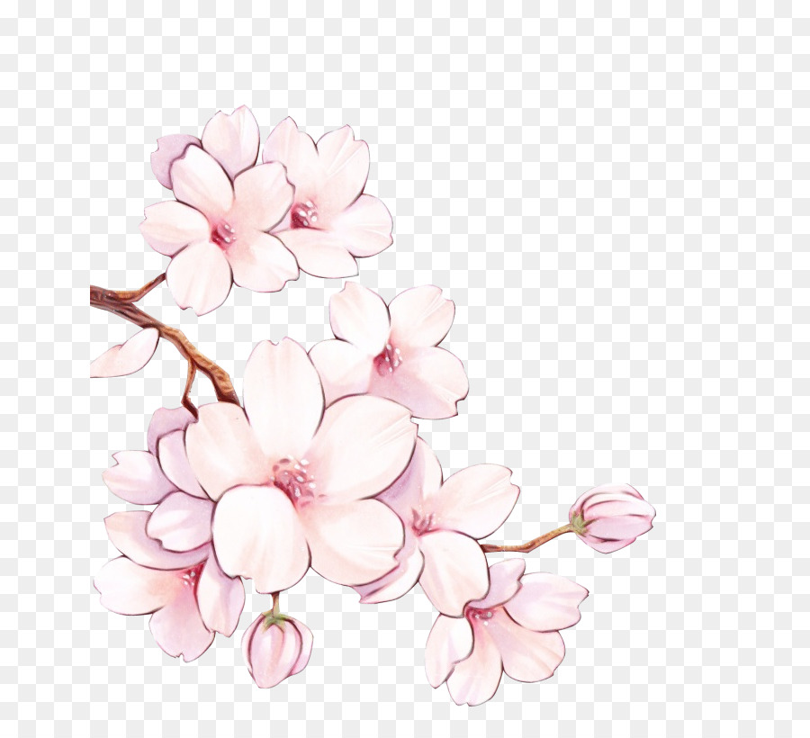 Desain Bunga，Sakura PNG