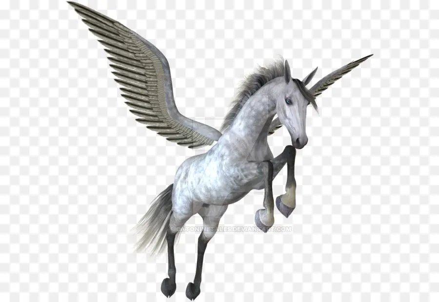 Pegasus，Unicorn PNG