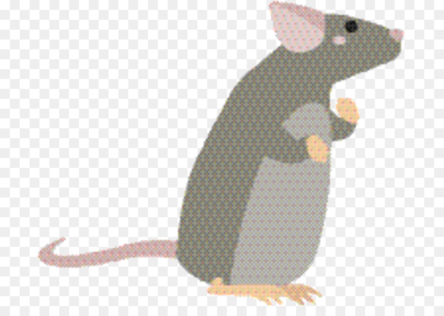 Mouse，Hewan Pengerat PNG