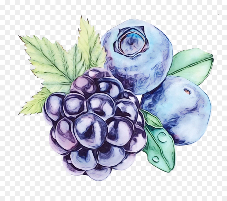Anggur，Blueberry PNG