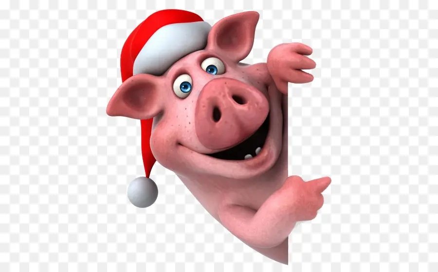 Babi，Hewan PNG