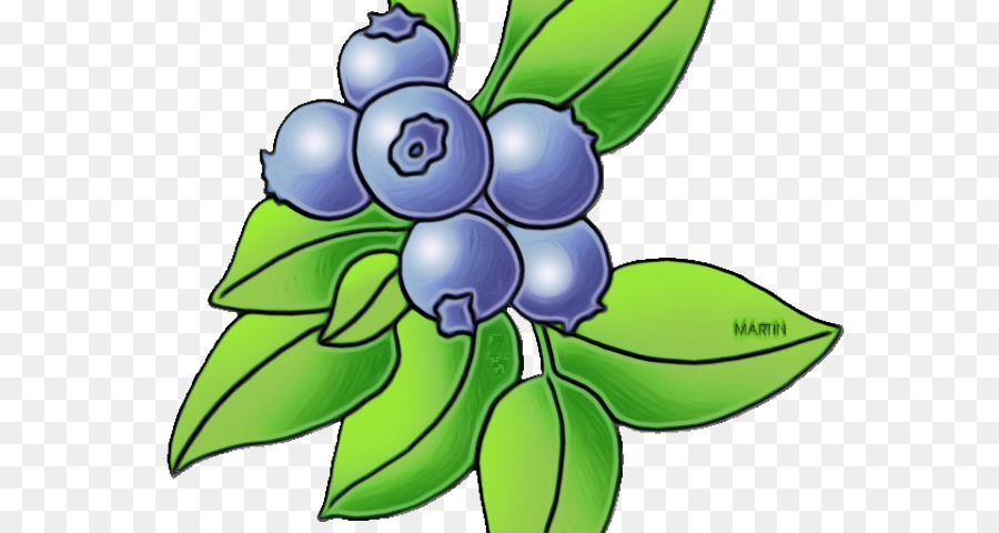 Blueberry，Daun Daun PNG