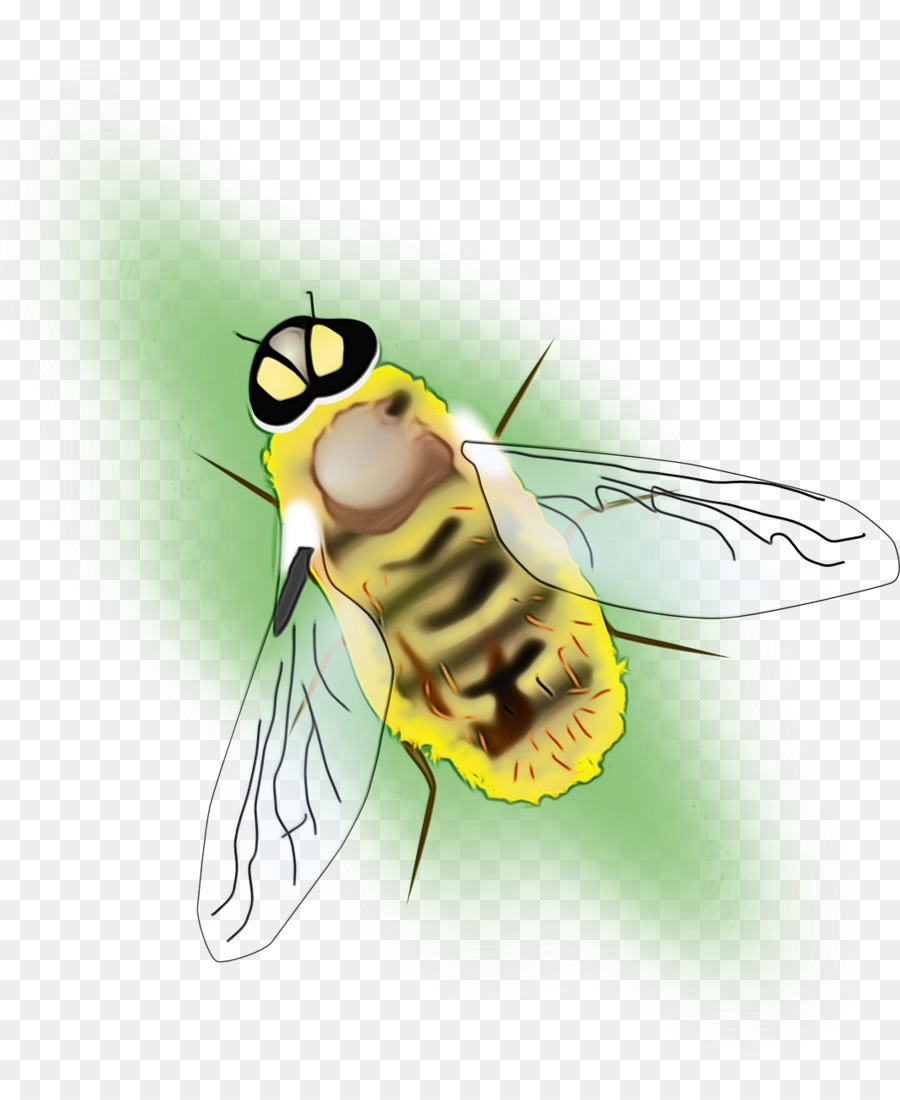 Lebah Madu，Lebah PNG