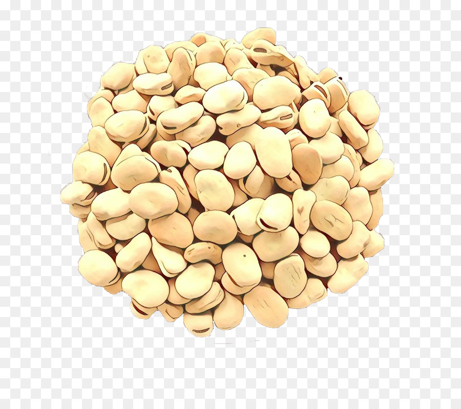 Kacang，Almond PNG