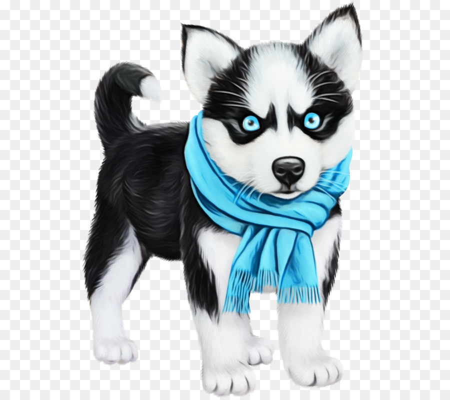 Anak Anjing Husky，Anak Anjing PNG