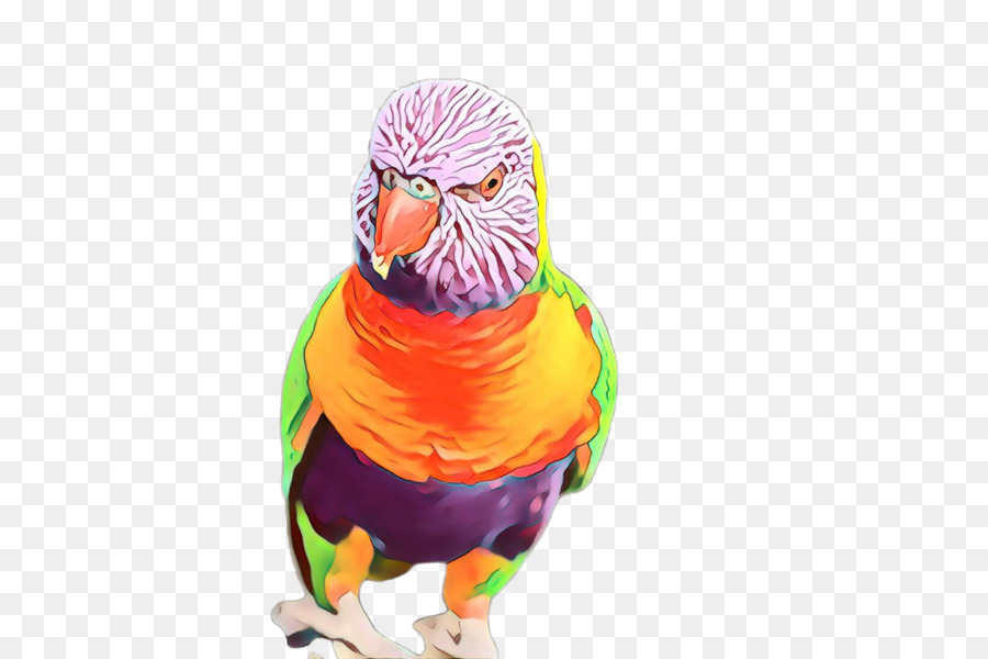 Parkit，Loriini PNG