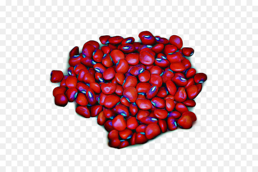 Kacang，Umum Bean PNG