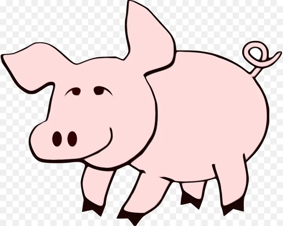 Babi，Peternakan PNG