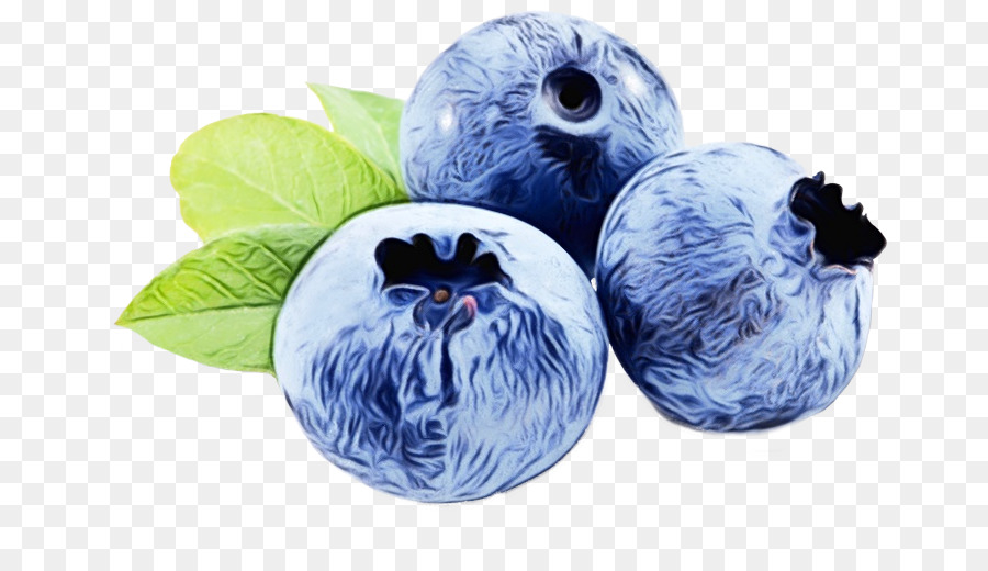 Blueberry，Beri PNG