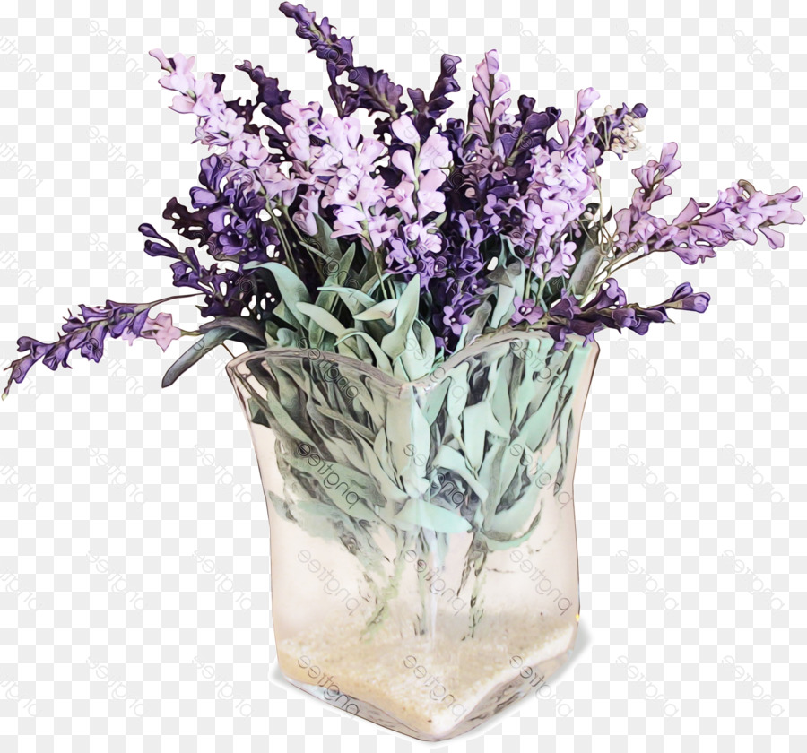 Bunga, Lavender, Ungu gambar png