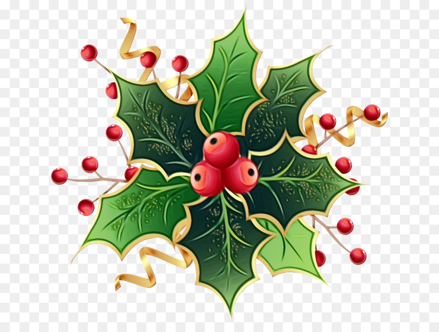 Holly，Daun Daun PNG