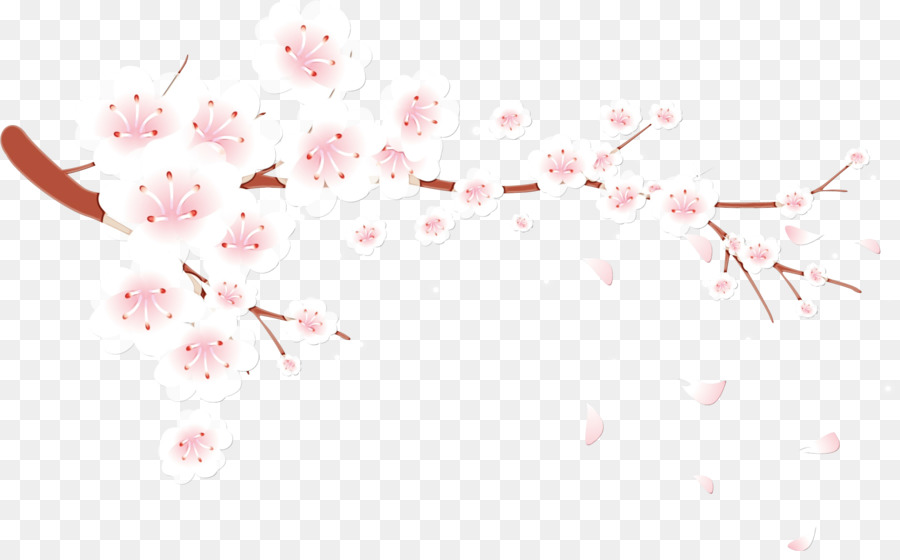 Bunga Sakura，Bunga PNG