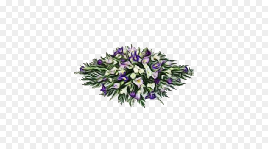 Ungu，Lavender PNG