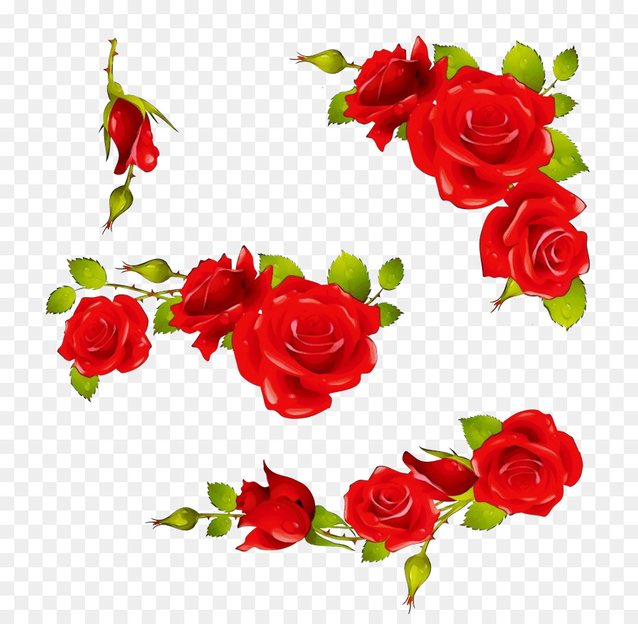Merah，Mawar Taman PNG