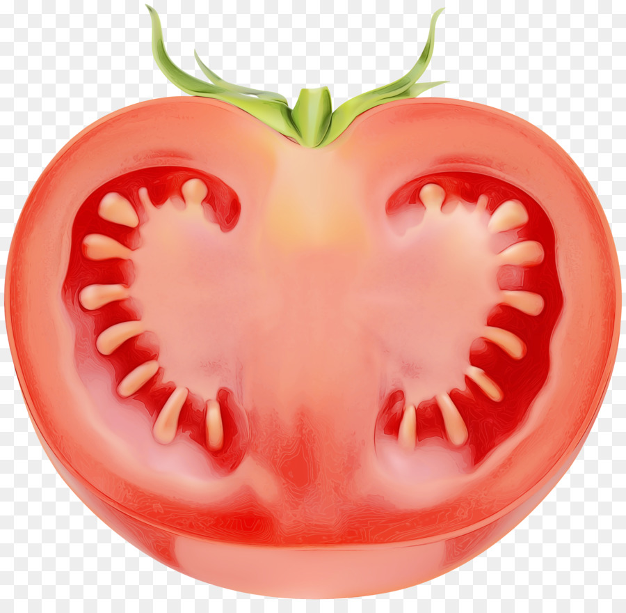 Tomat，Solanum PNG