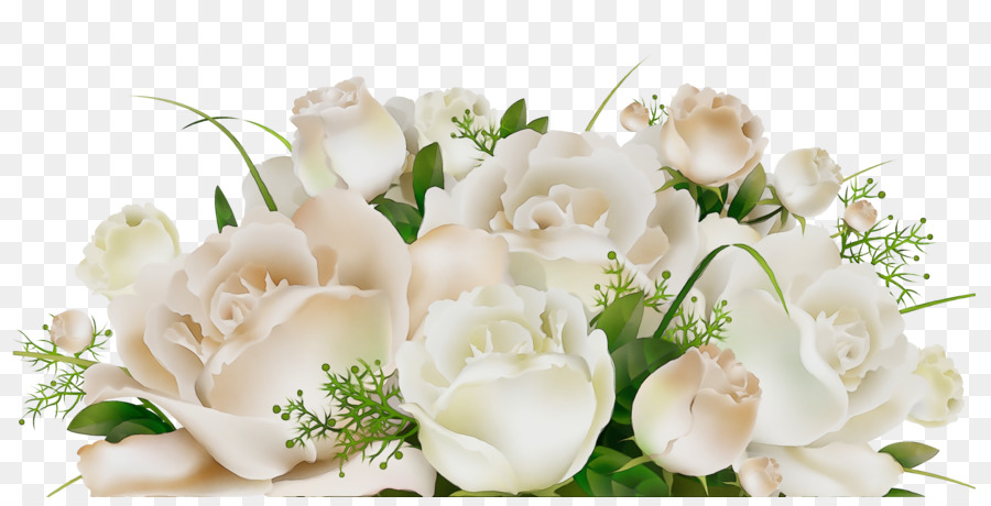 Bunga，Putih PNG