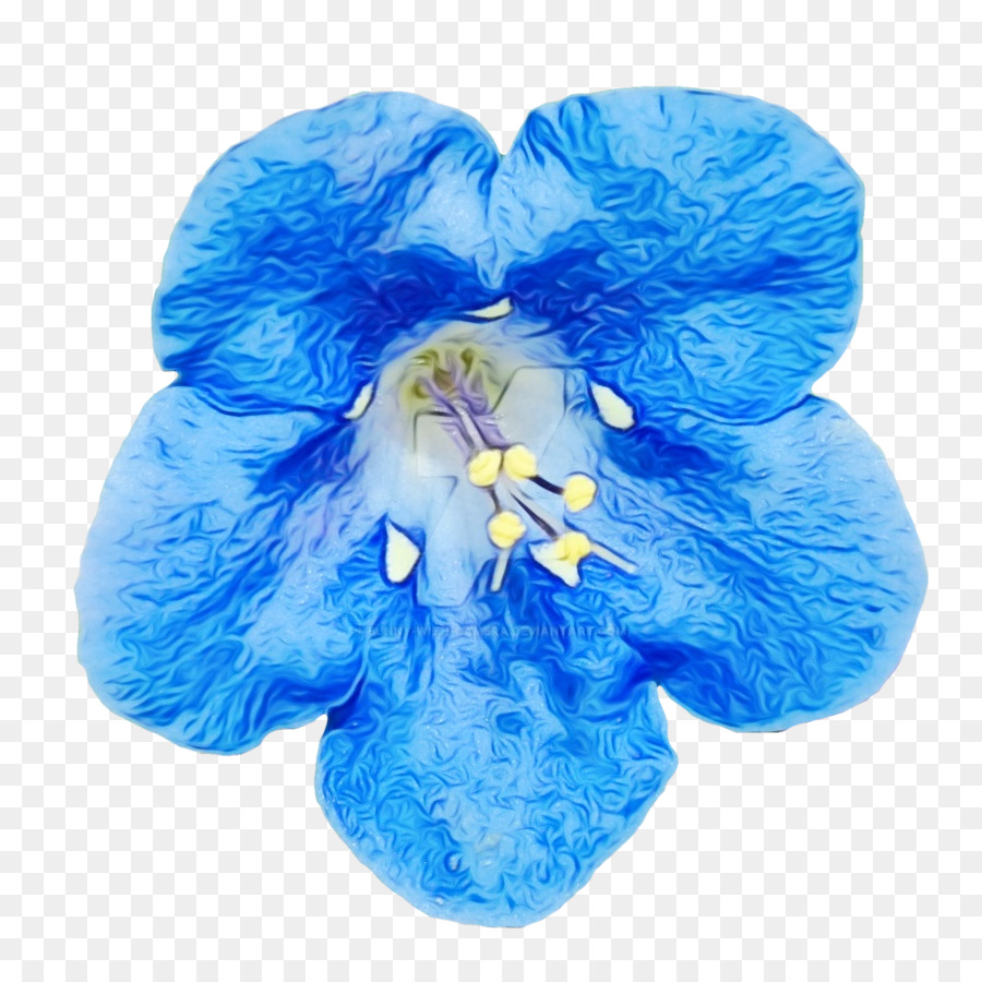 Biru，Bunga PNG