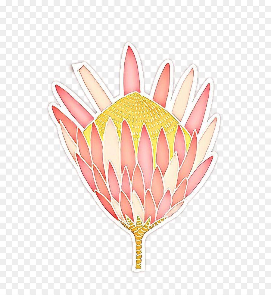 Protea，Pabrik PNG