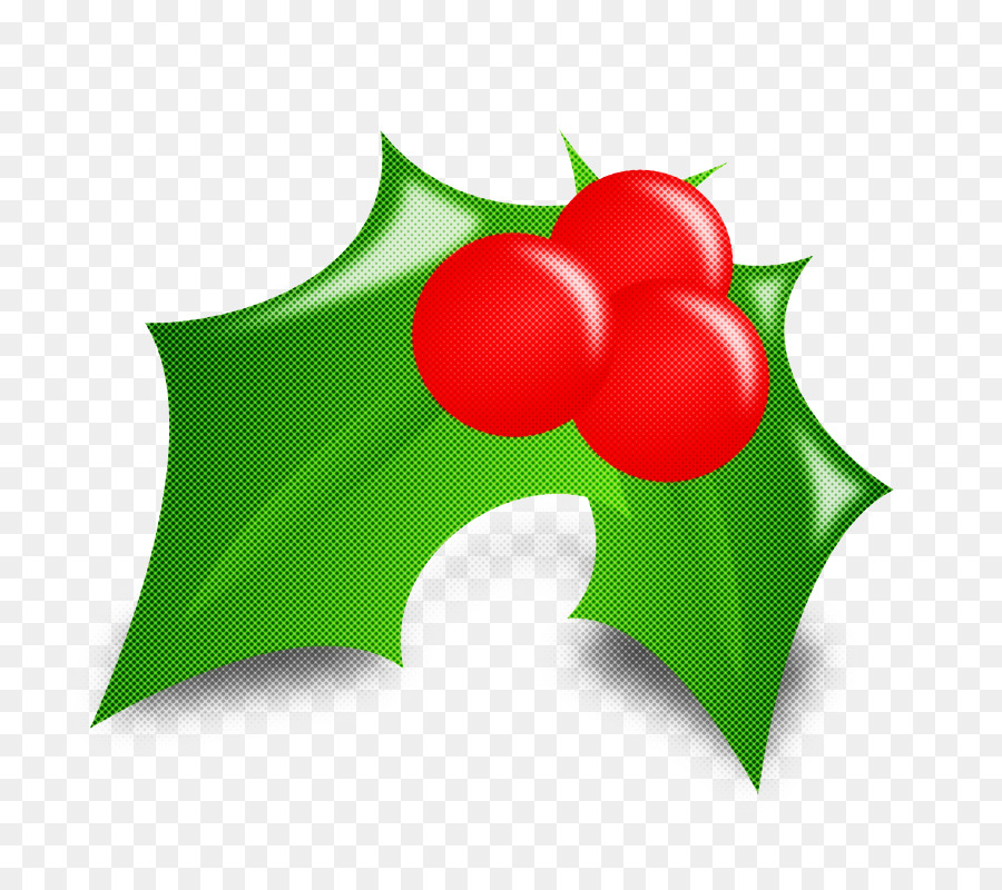 Holly，Daun Daun PNG