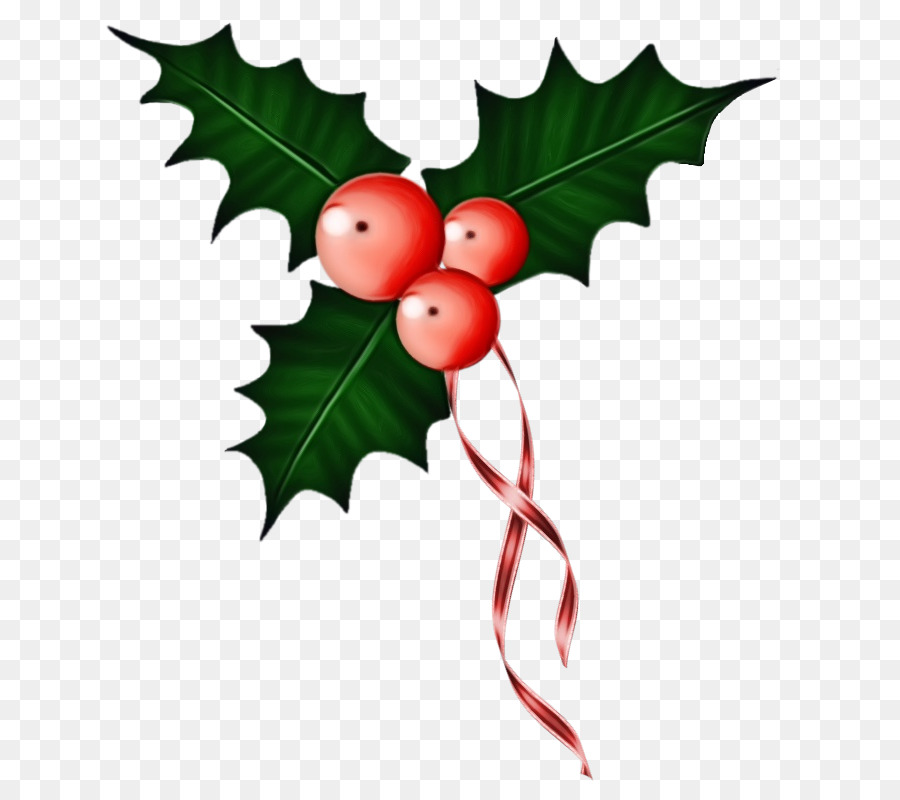 Holly，Daun PNG