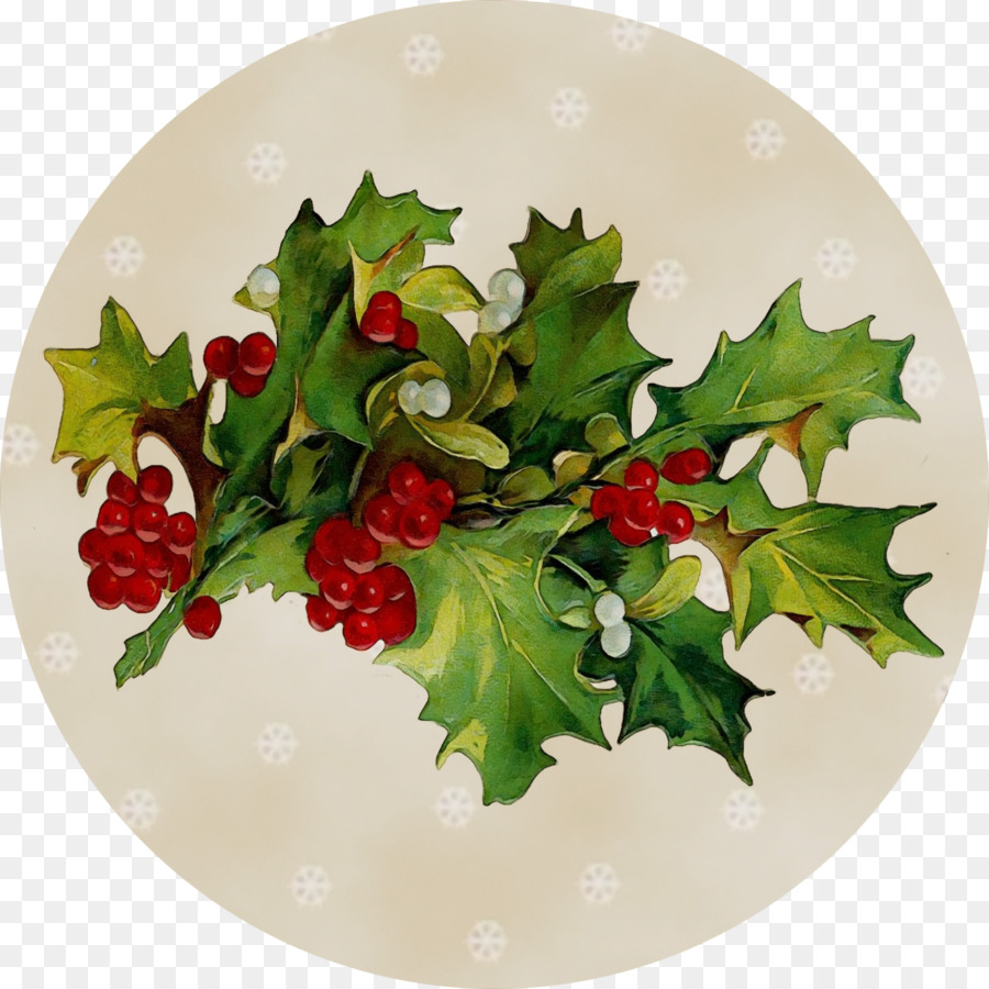 Holly，Piring PNG