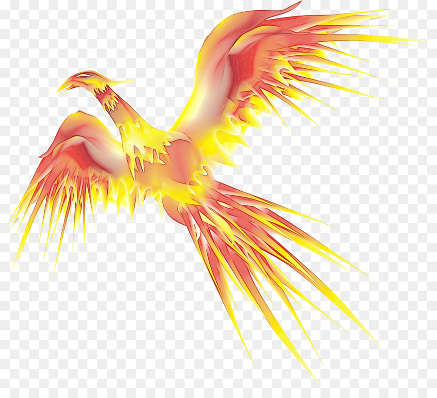 Phoenix，Burung PNG