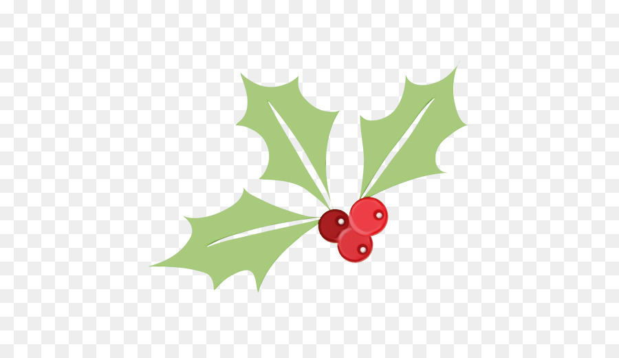 Holly，Daun Daun PNG