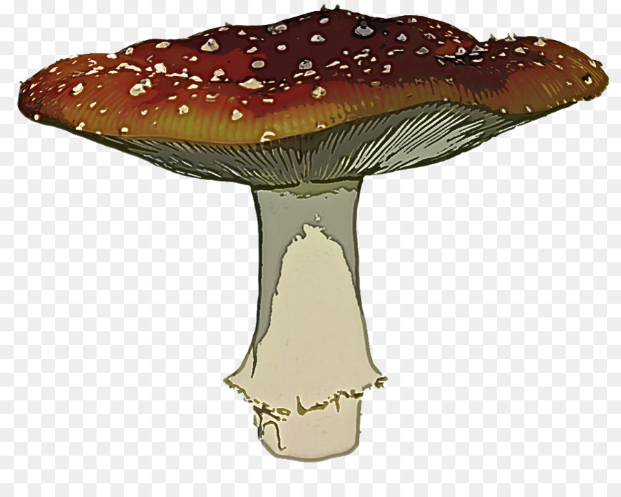 Agaric，Jamur PNG